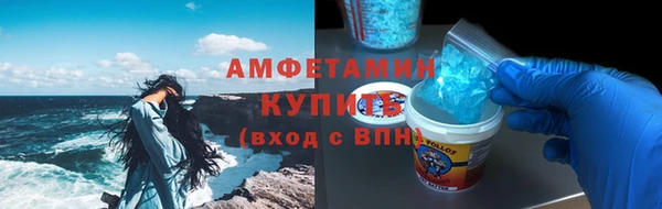 шишки Карпинск