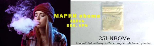 шишки Карпинск
