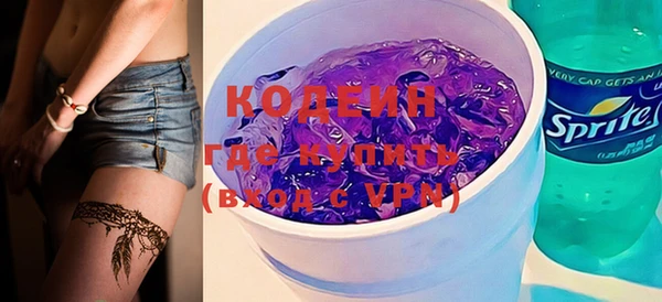 шишки Карпинск