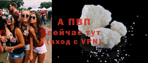 шишки Карпинск