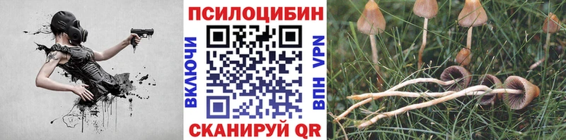 Галлюциногенные грибы мухоморы  Сенгилей 